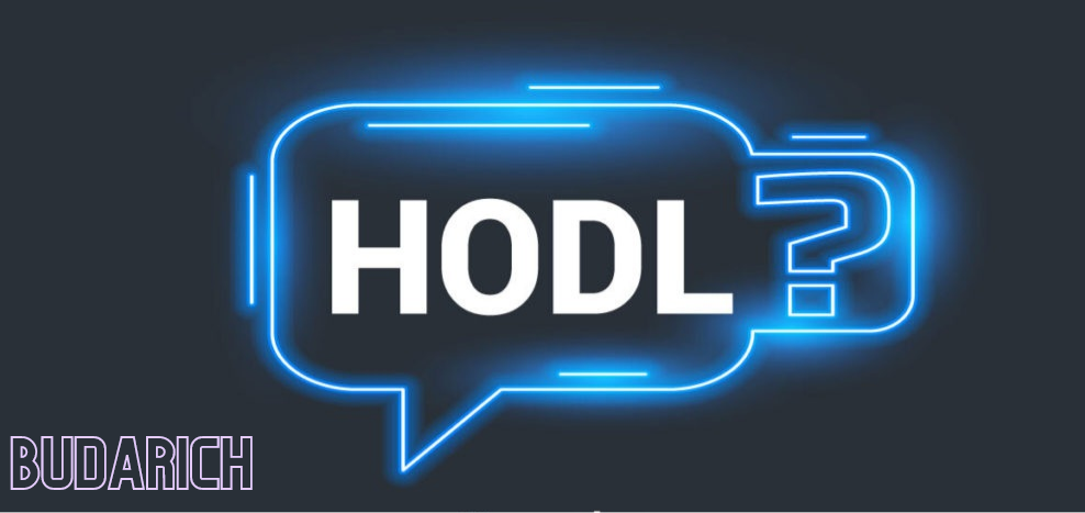 هودل (HODL) کردن چیست؟ یکی از  محبوب‌ترین استراتژی های سرمایه گذاری
